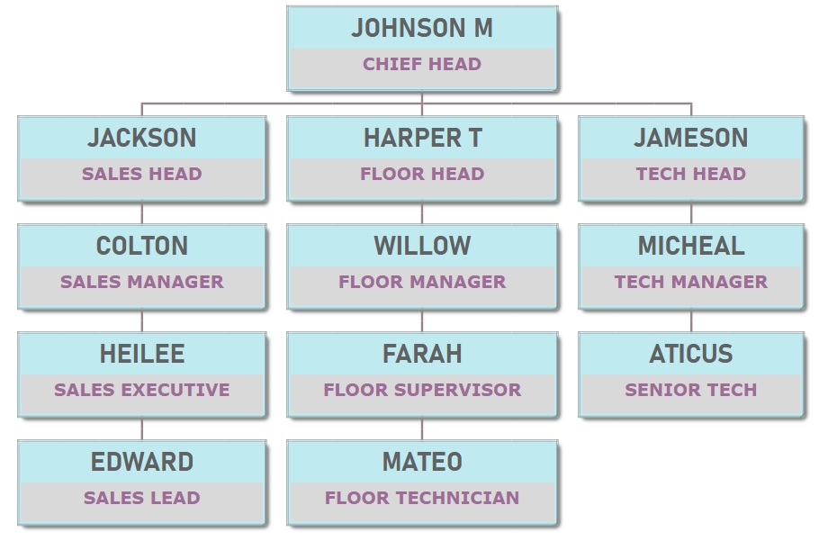 ORG chart template - Sky blue and grey background with narrow line border.