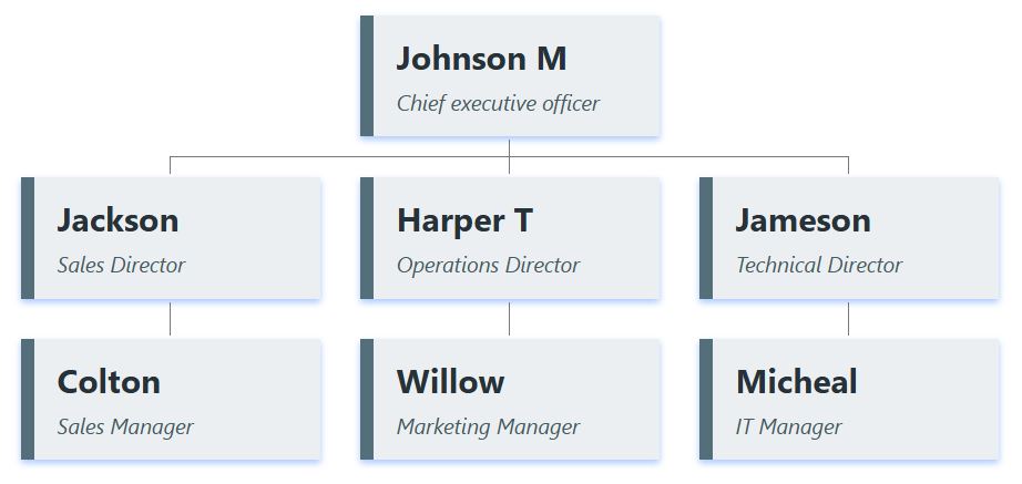 一个以浅灰色方框为特色的组织结构图模板。每个方框都采用极简设计，并以纯色、柔和的深色左侧边框加以点缀。