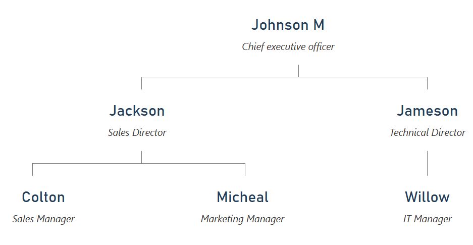 纯文本极简主义组织结构图主题，采用海军蓝文本。