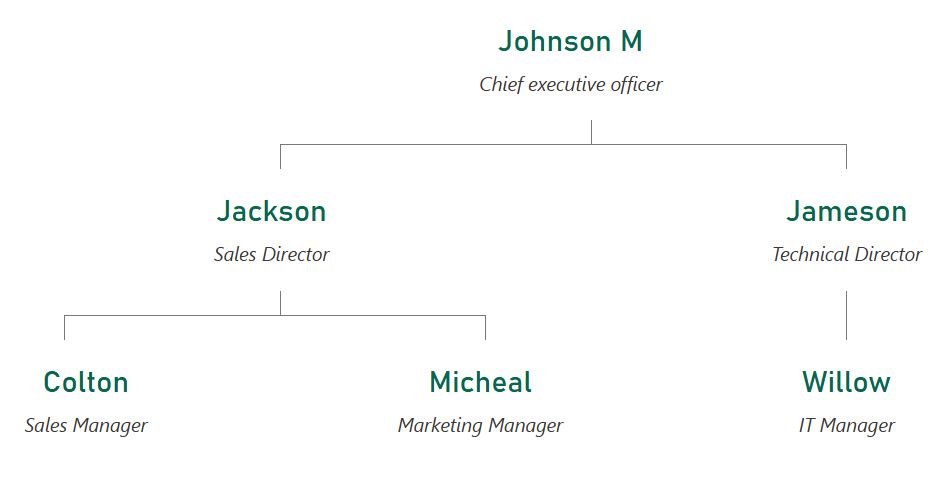 纯文本极简主义组织结构图主题，文本为深绿色。