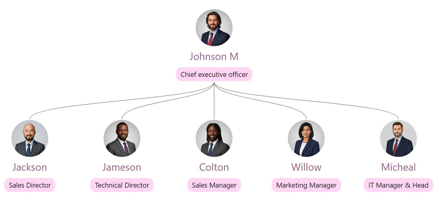 一个“淡粉色”组织结构图主题是“用流畅的曲线将高管与其直接下属连接起来，并通过圆形照片展现出来”。 data-ntcolor=