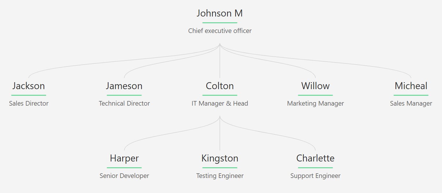 一款“薄荷绿与炭黑”组织结构图主题，采用深灰色文本、薄荷绿分隔线和浅灰色背景。