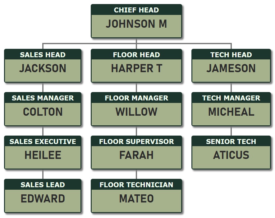 组织结构图模板 2 - 在深绿色背景上显示职位名称，在橄榄绿色背景上显示人员姓名。