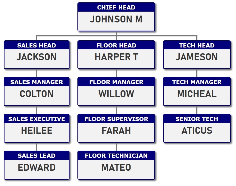 ORG 图表模板 2 - 将深蓝色背景应用于职位名称。