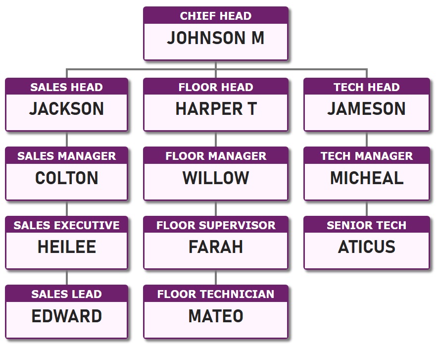 组织结构图模板 2 - 将职位名称放在洋红色背景上，将人员姓名放在白色背景上。
