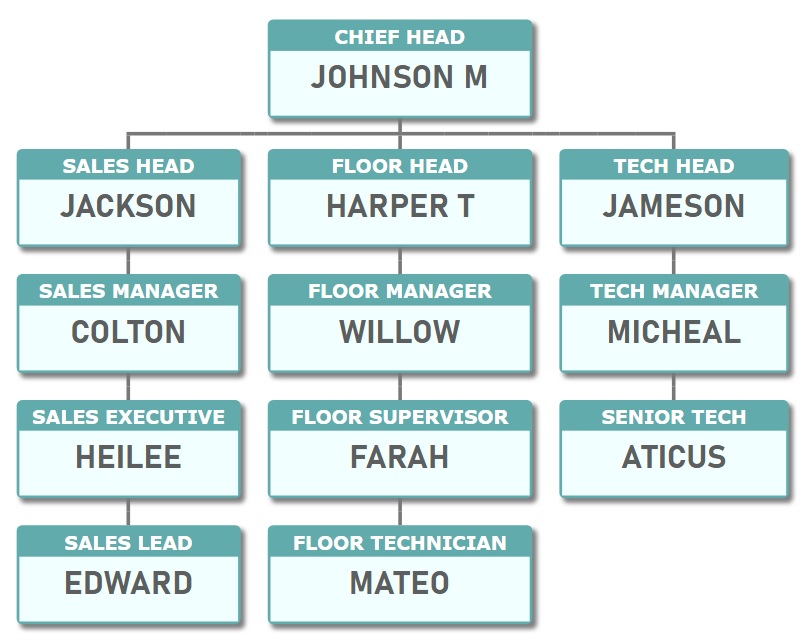 ORG 图表模板 2 - 在青绿色上显示职位名称，在白色背景上显示人员姓名。