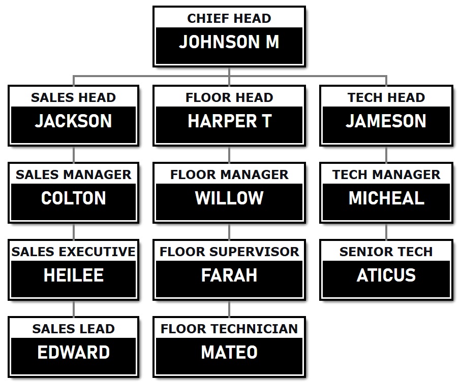 组织结构图模板 2 - 完美的黑白主题。