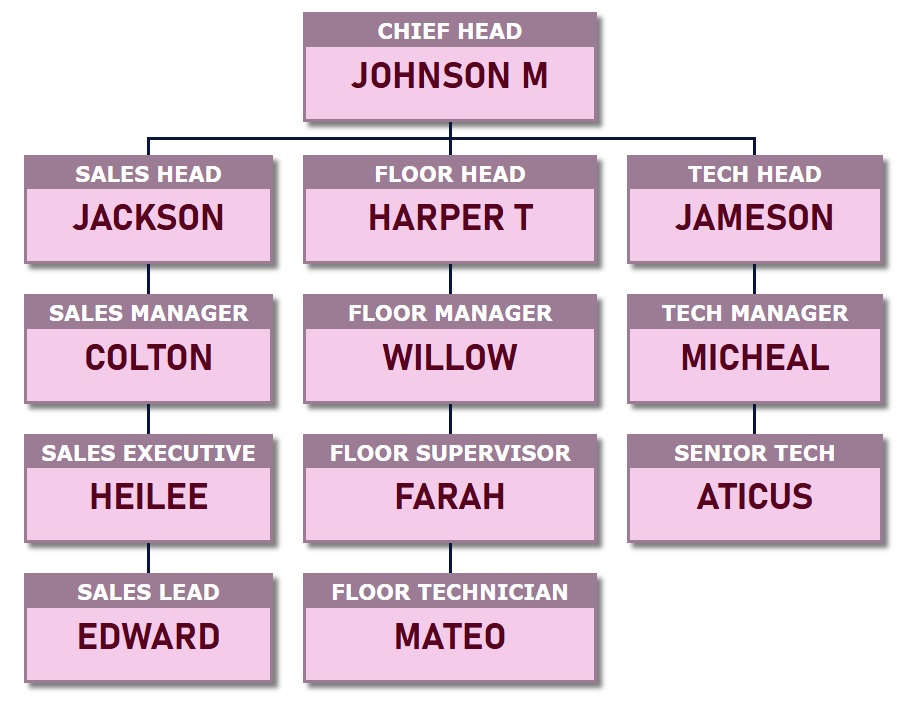 组织结构图模板 2 - 淡粉色背景样式的组织结构图模板