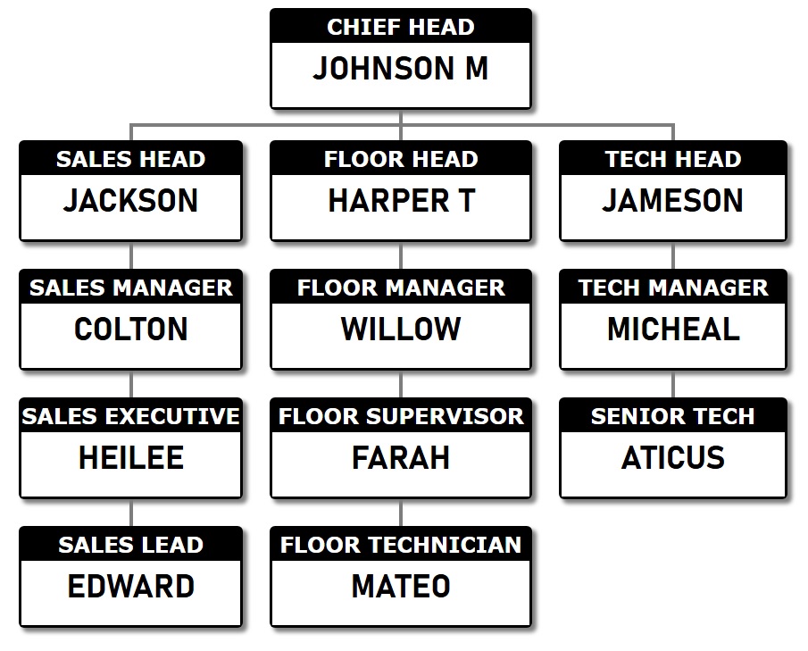 组织结构图模板 2 采用永恒的黑白风格设计。